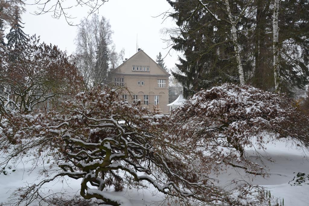 Villa Cerych Česká Skalice エクステリア 写真