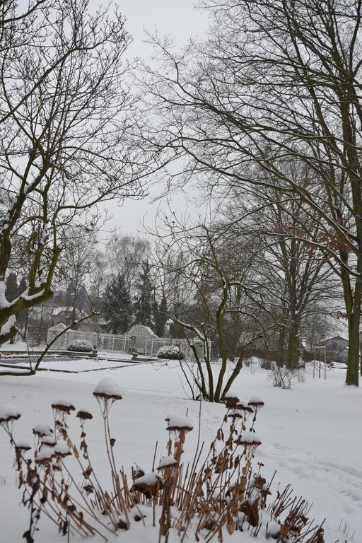 Villa Cerych Česká Skalice エクステリア 写真