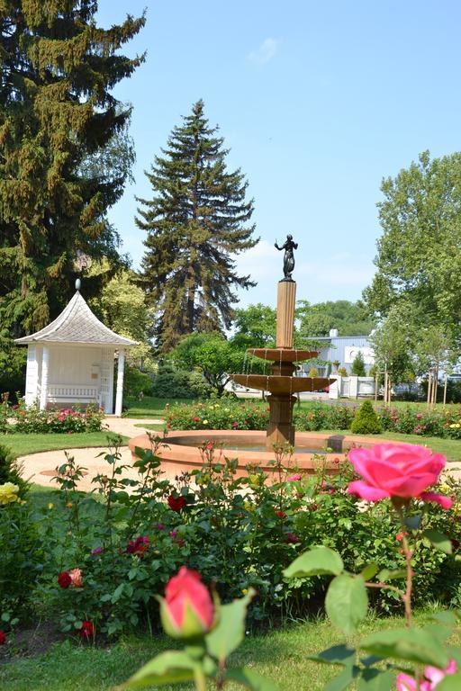 Villa Cerych Česká Skalice 部屋 写真